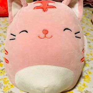 Squishmallow Paulita Cat 8”